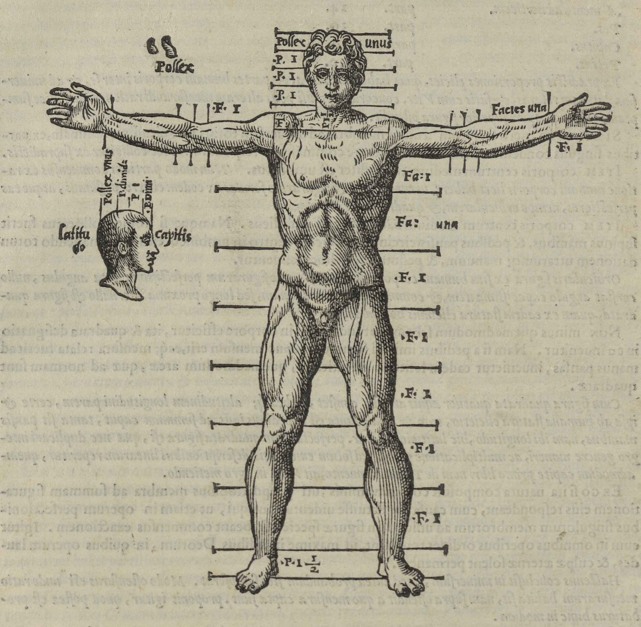 Illustration of Vitruvian Man by Andrea Palladio from Vitruvius, De Architectura, with commentaries by Daniele Barbaro and wood-cut illustrations by Andrea Palladio, Venice, 1556, from the Collection of the Irish Architectural Archive.