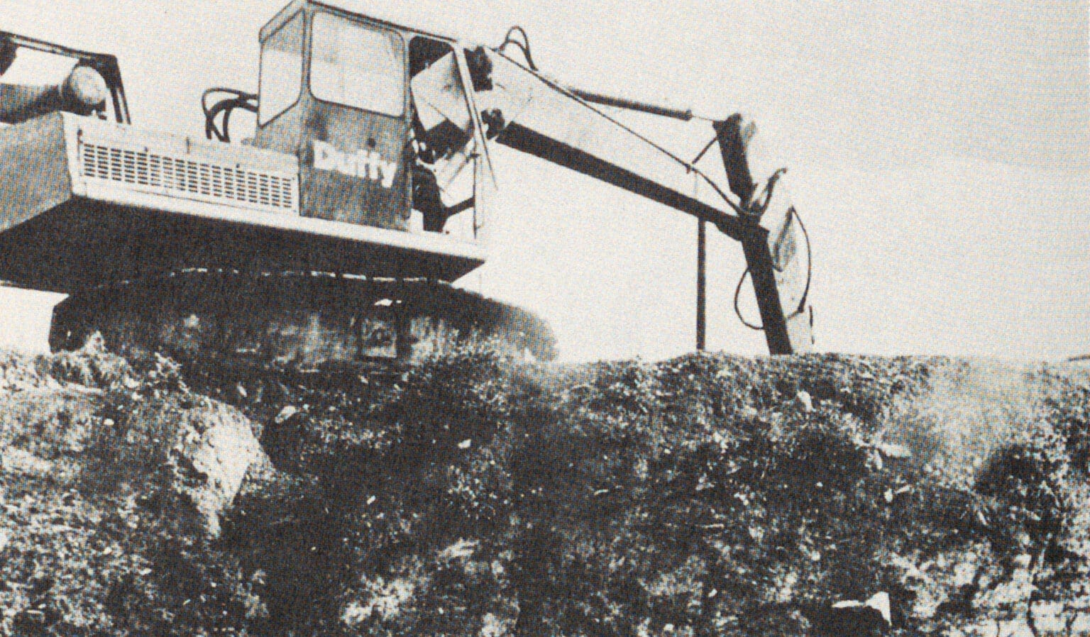 A black and white photograph taken in 1975 by Tom Lawlor and reproduced in the Irish Times showing architectural student Helen Lane records on paper the medieval structures of Wood Quay, Dublin. Behind her, a construction excavator is clearing the land.
